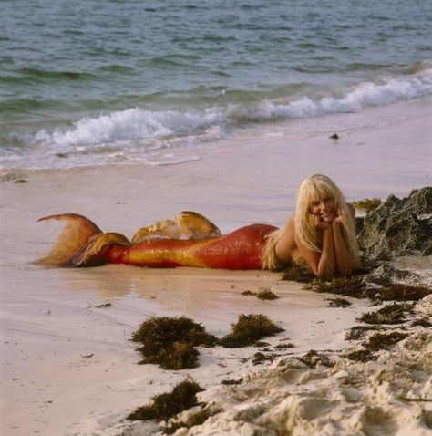 Splash Movie, Orange Mermaid, Mermaid Movies, Daryl Hannah, Warren Beatty, Mermaid Lagoon, Mermaid Pictures, Best Disney Movies, Comedy Films