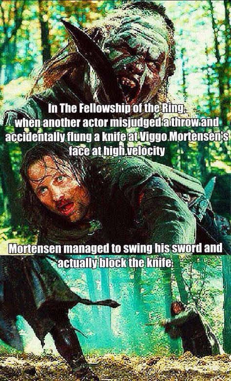 Lord of the rings fact Lotr Facts, Viggo Mortensen Aragorn, Hobbit Cast, Legolas And Thranduil, Earth Quotes, Viggo Mortensen, Lotr Art, Fellowship Of The Ring, Jrr Tolkien