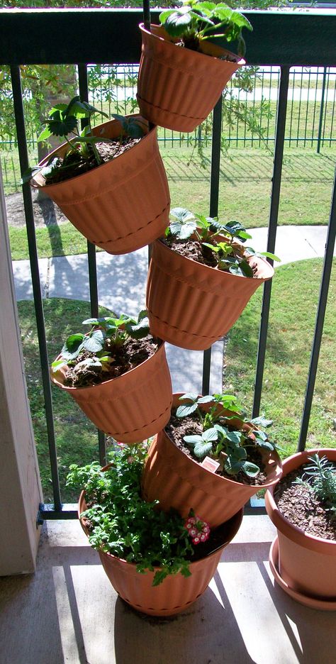 My own tipsy planter!  Strawberries in tilted pots, verbena w/red & white tiny blooms in base. Pot Planter Ideas, Stacked Planters, Pot Gardening, Planting Tips, Garden Flower Beds, Terra Cotta Pot Crafts, Pot Crafts, Diy Flower Pots, Planter Ideas