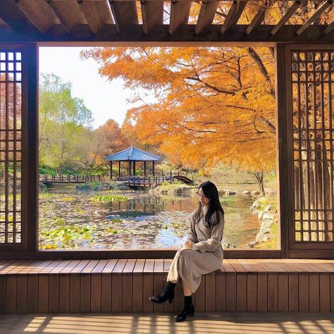 Autumn Korean Aesthetic, South Korea Photoshoot, Osaka Outfit Autumn, Seoul Fall Aesthetic, Japan Aesthetic Autumn, Seoul Instagram Pictures, Japan Fall Aesthetic, Korea Instagram Photos, Seoul Photo Ideas