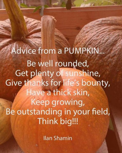 Quote by Ilan Shamir Advice from a pumpkin..be well rounded, get plenty of sunshine, give thanks for life's bounty, have a thick skin, keep growing, be outstanding in your field, think big #inspirational #inspirationalquotes #motivationalquotes #quotesdaily #lifequotes #quotesaboutlife Thick Skin Quotes, Wellbeing Art, Head Quotes, Pumpkin Quotes, Class Inspiration, Pastor Appreciation, Thankful Quotes, Happy Harvest, Pastors Appreciation