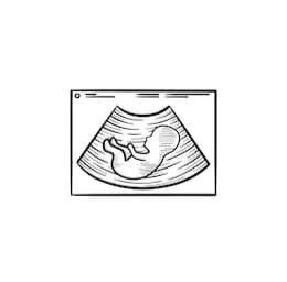 Fetal Ultrasound, Pregnancy Drawing, Angel Baby Art, Baby Ultrasound, Pregnancy Art, Baby Silhouette, Doodle Icon, Baby Drawing, Baby Clip Art