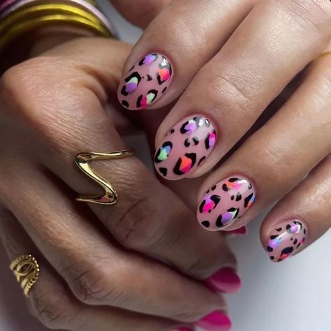 Wild Nail Art, Animal Print Nail Designs, Safari Nails, Neon Nail Designs, Animal Print Nails Art, Short Almond Nails, Gel Nail Art Designs, Leopard Print Nails, Short Almond