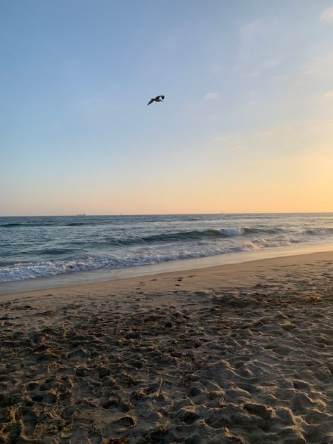 California Ocean Aesthetic, Huntington Beach Aesthetic, Hungtinton Beach California, Huntington Beach California Aesthetic, Beach California Aesthetic, California Beach Aesthetic, Marine Kingdom, Songs Aesthetic, Manhattan Beach California