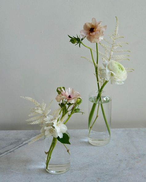 Bewilder Floral on Instagram: “We adore the simplicity of bud vases, they add an instant easy breezy feel to a setting. Swipe to see them in action @harmonicbrewing 🌿💕…” White Astilbe, Mock Orange, Easy Breezy, Ranunculus, Bud Vase, Bud Vases, Blush Pink, Florist, Pink White