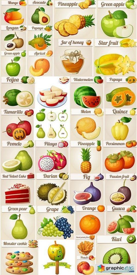 Food Names In English, Vegetables List, Fruits And Vegetables List, Name Of Vegetables, Fruits Name In English, Trinidad Recipes, Fruit List, Food Icon, English Food