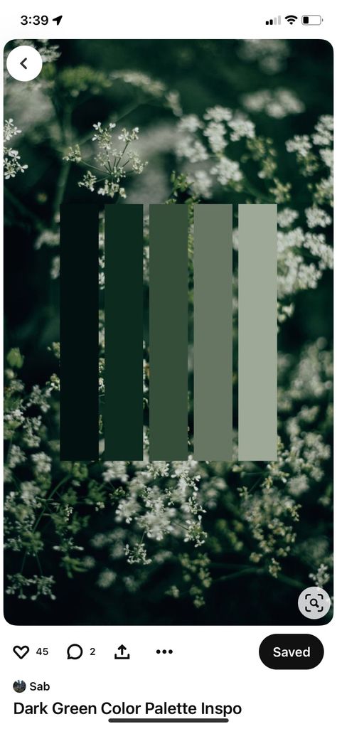 Dark Green Black White Color Palette, Forest Emerald Green, Green Colour Palette, Winter Wedding, Green Colors, White Color, Dark Green, Color Palette, Black And White