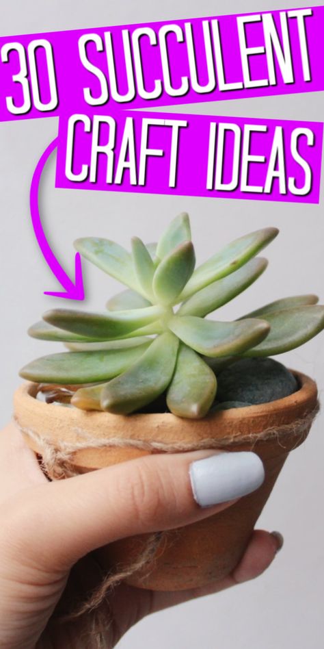 Use these succulent crafts to make some decor for around your home! You will love these simple ideas that you can make in minutes! #succulents #succulentcrafts #craftideas #decor #homedecor #crafting Crafts With Succulents, Succulent Crafts To Sell, Plant Ideas To Sell, Succulent Diy Ideas Crafts, Dollar Tree Succulents Diy, Diy Small Planters, Fake Succulent Arrangements Diy, Diy Succulent Gift Ideas, Succulents Gift Ideas