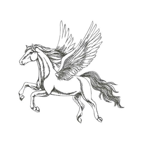 my drawing of pegaso Pegasus Drawing, Flying Drawing, Horse Couple, Unicorn Embroidery, Horse Embroidery, Cat Embroidery Design, Flying Horse, Winged Horse, Horse Fly