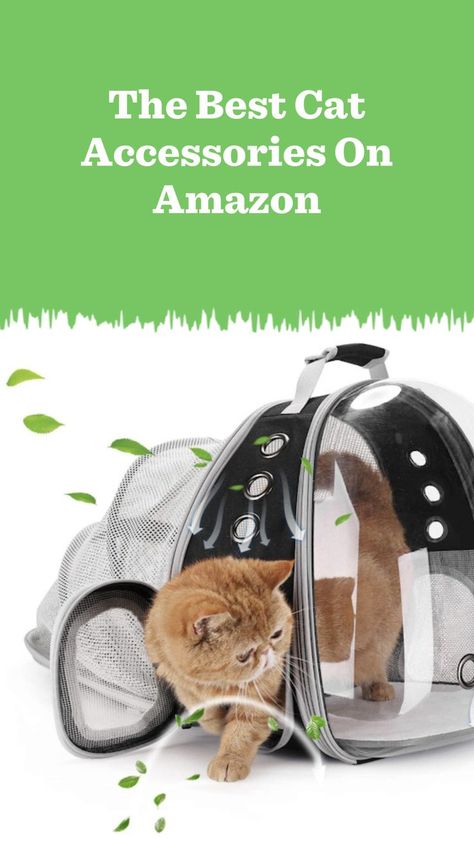 Must Have Cat Products, Must Have Cat Items, Cat Essentials Products, Amazon Finds For Cats, Cat Travel Essentials, Amazon Accessories, Best Cat, Curious Cat, Cat Accessories