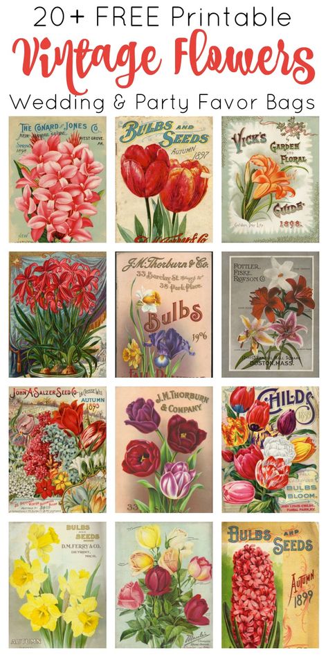 Vintage Seed Packets, Etiquette Vintage, Free Vintage Printables, Free Printable Art, Seed Catalogs, Printable Vintage, Vintage Junk Journal, Seed Packets, Vintage Printables