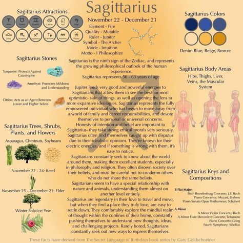 Sagittarius Correspondences, Zodiac Notes, Rooted Garden, Jupiter Symbol, Witchy Astrology, Sagittarius Tattoo Designs, Zodiac Sagittarius Facts, Horoscope Tattoos, Healing Candles