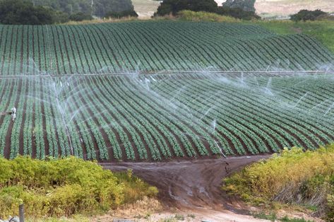 Groundwater has been a limited resource for California and its agriculture industry. USDAOver-pumping groundwater is causing California's San Joaquin Valley to sink, but monitoring these basins from space could help improve management. The post NASA is watching California’s groundwater crisis from space appeared first on Popular Science. San Joaquin Valley, Crop Protection, Sprinkler Irrigation, Agriculture Industry, Drip Irrigation System, Agricultural Practices, Low Water Pressure, Water Efficiency, Water Management