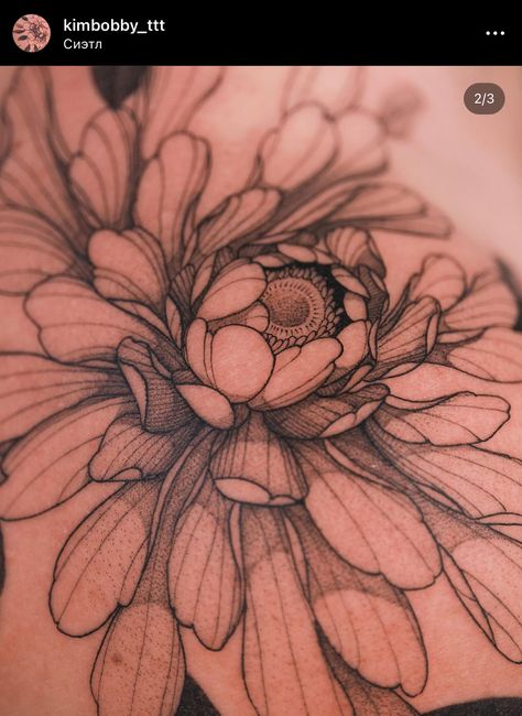 Flower Reference, Tattoo Themes, Guided Drawing, Flower Tattoos, Flower Tattoo, Tatting, Tattoos, Drawings, Floral