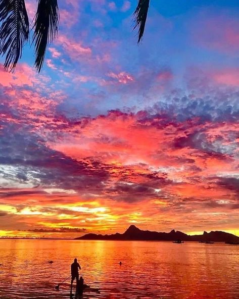 Cinthya on Instagram: “Vue sur Moorea. #sunset #tahiti #moorea #confinement #restezchezvous #admirezlepaysage” Tahiti Photography, Moorea French Polynesia Aesthetic, Tahiti Moorea, Moorea French Polynesia Photography, Moorea Tahiti, Tropical Island Sunset, Moorea French Polynesia, French Polynesia, Tahiti