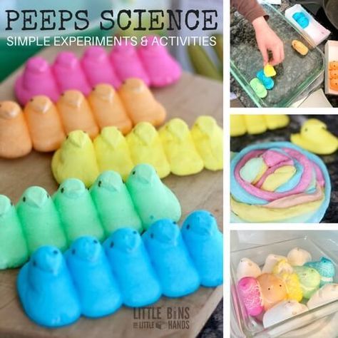 Got peeps? This holiday treat also makes for excellent peeps science experiments and activities! Make slime, test solubility, heat, and build with peeps. Easter Science Activities, Peeps Science Experiment, Easter Stem, Easter Science, Fluffy Things, Easter Preschool, Speak To Me, Kid Experiments, Easy Science Experiments