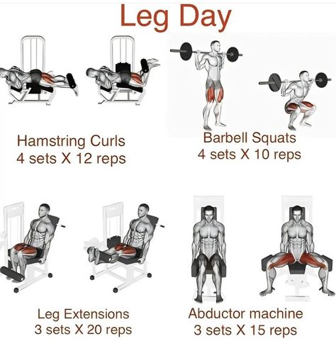 Best Leg Day Workout, Weight Machine Workout, Quick Leg Workout, Gym Workouts Machines, Leg Machine Workout, Lower Body Workouts, Leg Day Workout, Lower Body Strength, Leg Workouts Gym