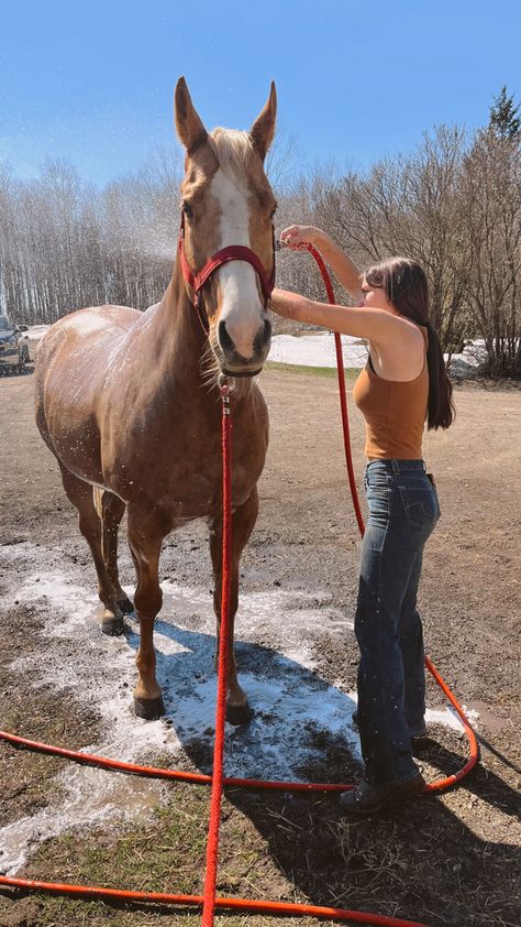 Working With Horses, Western Summer Aesthetic, Cowgirl Photography, Rodeo Time, Dream Horse Barns, Rodeo Horses, Rodeo Life, Western Life, Cowgirl Aesthetic