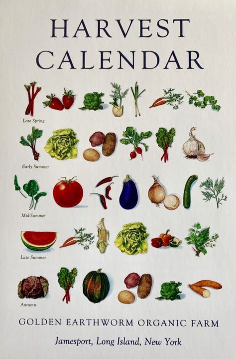 Harvest calendar graphic with illustrations of what is in season when. Csa Box Ideas, Farmers Almanac 2023, Farm Event, Csa Farm, Roadside Stand, Floating Raft, Csa Box, Community Supported Agriculture, Market Booth