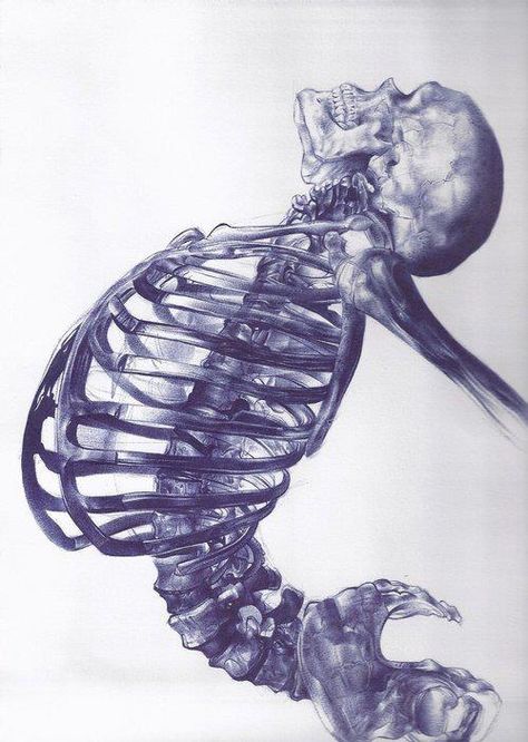 A day in the land of nobody - Ballpoint pen drawing by Andrea Schillaci Skeleton Drawings, Ballpoint Pen Drawing, Human Skeleton, Anatomy Drawing, Caravaggio, Illustration Inspiration, Anatomy Art, Pen Art, Memento Mori