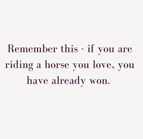 Horse Quotes Funny, Inspirational Horse Quotes, Horse Riding Quotes, Equestrian Quotes, Riding Quotes, Equestrian Aesthetic, Warm Scarves, Most Beautiful Horses, Horses And Dogs