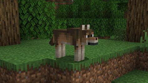 Minecraft Pasta, Types Of Wolves, Minecraft V, Minecraft Wolf, Minecraft Inspo, Minecraft Stuff, Minecraft 1, Minecraft Designs, Minecraft