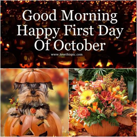 Happy October 1st Images, Happy October 1st, October Month, 1st October, Happy October, Days And Months, October 1st, 1st Day, Good Morning Happy