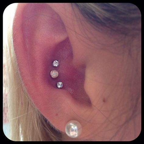 A fun triple conch with jewelry from @bodygems and @neometaljewelry #luckysnoho #safepiercing #conchpiercing #tripleconch Triple Conch Piercing, Conch Ear Piercing, Conch Piercing Stud, Conch Stud, Ear Piercing Studs, Cute Piercings, Conch Piercing, Ear Piercing, Body Modifications