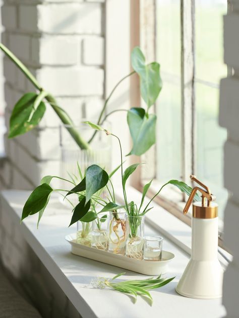 Ikea Indoor Garden, Small Indoor Garden, Greenhouse Indoor, Plant Accessories, Plant Help, Nature Home, Artificial Potted Plants, Green Inspiration, Bring Them Home