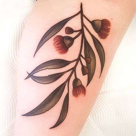 182 Likes, 9 Comments - DREA DARLING TATTOO (@drea.darling) on Instagram: “Blossoming eucalyptus sprig for @_myrle. She has some of my first tattoos so I was stoked to make…” Gumnut Tattoo, Australian Tattoo Ideas, Darling Tattoo, Tattoo Coverups, Fineline Tattoo Ideas, Flower Tats, Max Tattoo, First Tattoos, Fingerprint Tattoos