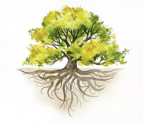 Why does Church policy change? ‘Liahona’ article discusses - LDS Living Tattoo Roots, Oak Tree Drawings, Roots Drawing, Tree With Roots, Tree Drawings, Oak Tree Tattoo, Yearbook Cover, Family Tree Poster, Chakra Tattoo