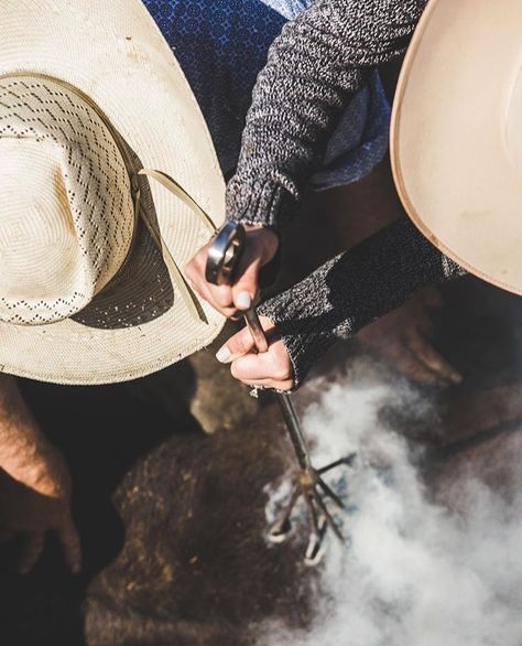 Branding Cattle Photography, Ranch Aesthetic, Cattle Branding, Cowboy Vibes, Broken Bonds, Cowboy Hat Styles, Cowboy Life, Maladaptive Daydreaming, Cattle Brands