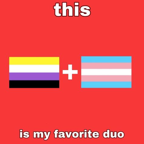 Canon Vs Fanon Template, Platonic Partner, T4t Couple, Canon Vs Fanon, Trans Aesthetic, Queer Platonic, Ship Dynamics, Platonic Friends, Funny Charts