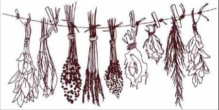 Herbalism Tattoo Ideas, Hanging Herbs Tattoo, Herbalist Tattoo, Apothecary Tattoo, Herb Tattoo, Hanging Herbs, Journal Inspiration Writing, Witch Tattoo, Dried Herbs