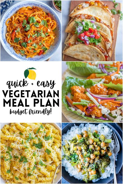 2 Week Vegetarian Meal Plan, Lazy Dinner Ideas Quick Vegetarian, Poor Vegan Meals, Budget Bytes Vegetarian, Week Of Vegetarian Meals, Easy Cheap Vegetarian Meals Healthy, Budget Meal Planning Vegetarian, 7 Day Vegetarian Meal Plan, 30 Day Vegetarian Meal Plan