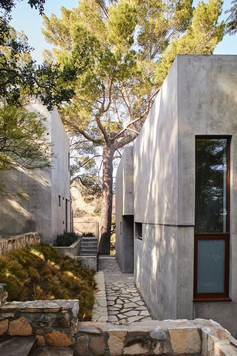 Photo 8 of 10 in An Oscar-Winning Director’s Striking Concrete-and-Glass Villa Offers a Tranquil Escape in L.A. - Dwell Concrete Homes Exterior, Exterior Plants, Kathryn Bigelow, Be Delusional, Stone Villa, Concrete Homes, Beverly Hills Houses, Fireplace Set, Mexico House