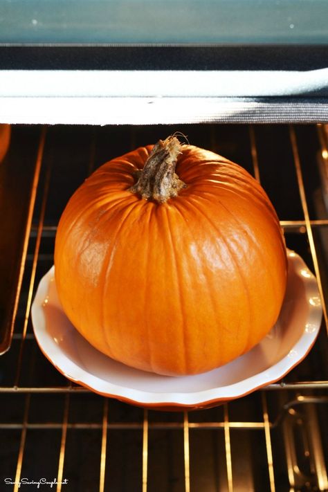 Bake Whole Pumpkin Oven, Roasting A Pumpkin In The Oven, Cooking A Whole Pumpkin In The Oven, Cooking Whole Pumpkin In Oven, Cooking Pumpkin In Oven, Roasting Pumpkin For Pie, Roast Whole Pumpkin, Big Easy Cooker, Pumpkin Cooking