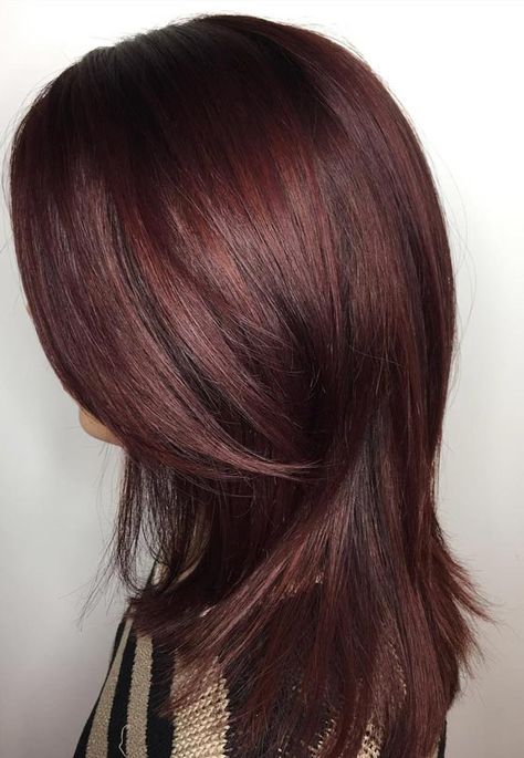 20 Magical Mahogany Hair Color Ideas Mahogany Brown Hair Color, Mahogany Hair Color, Mahogany Brown Hair, Hair Color Mahogany, Mahogany Hair, Brown Hair Color, Dark Red Hair, Mahogany Brown, Winter Hair Color