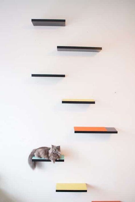 Diy Cat Shelves, Floating Cat Shelves, Pallet Deck Diy, Katt Grejer, Diy Cat Tree, Floating Shelves Kitchen, Ikea Bookshelves, Diy Wall Shelves, Cat Shelves