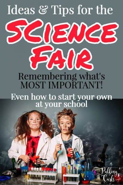 Science Fair Projects For Elementary, Ideas For Science Fair, Kindergarten Science Fair Projects, Winning Science Fair Projects, Science Fair Display Board, Elementary Science Fair Projects, Types Of Science, Cool Science Fair Projects, Elementary School Science