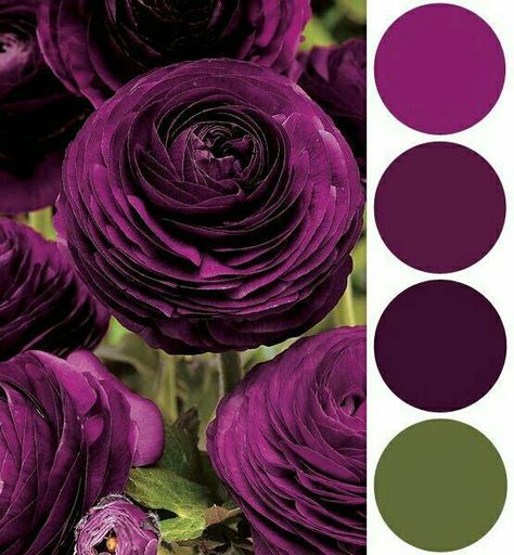 Purple Complimentary Colors, Aubergine Color Palette, Plum Color Palette, Purple Cabinets, Color Uva, Purple Color Combinations, Purple Color Palettes, Color Schemes Colour Palettes, Eggplant Color