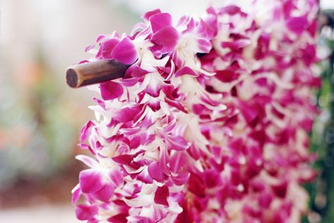 Did you know that May Day is Lei Day in Hawaii? Learn about this day of color, celebration, flowers, and aloha throughout the islands. Lei Day, Hawaiian Lei, Best Vacation Spots, Hawaiian Theme, May Days, May 1st, May Day, Peonies Garden, Hybrid Tea Roses