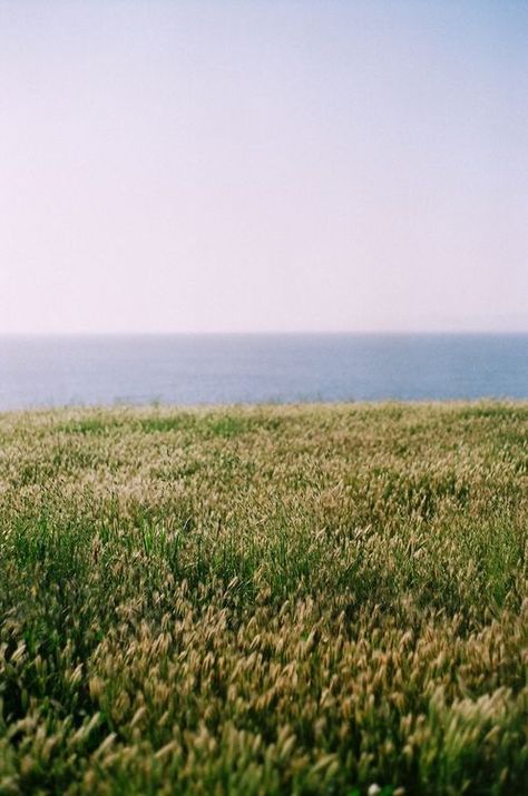 Nature Landscape, Nature Aesthetic, Flower Field, Pretty Places, Pacific Northwest, Mother Earth, Beautiful World, Beautiful Landscapes, The Great Outdoors