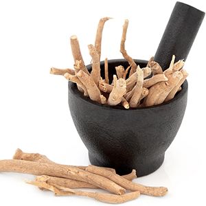 Ashwagandha Benefits, Reducing Cortisol Levels, Low Estrogen Symptoms, Ashwagandha Root, Natural Colon Cleanse, Adaptogenic Herbs, Ayurvedic Herbs, Colon Cleanse, Ayurvedic Medicine