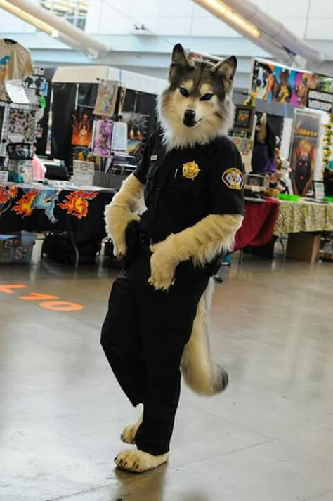 AMAZING!! *0*                                                                                                                                                                                 More Wolf Fursuit, Wolf Mascot, Fur Suit, Fur Suits, Animal Mascot, Art Pinterest, Animal Costumes, Fantasy Costumes, Amazing Cosplay