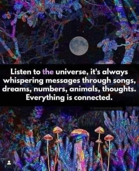 Is it ever 🤩🤩🤩 How many of you notice little synchronicities daily?!? Repeating numbers are a huge one for me!! What do you see? #syncronicity #intuition #itsallconnected Synchronicity Quotes, Intuition Developing, Repeating Numbers, Intuition Quotes, Everything Is Connected, Journal Quotes, What Do You See, Fb Page, Fact Quotes