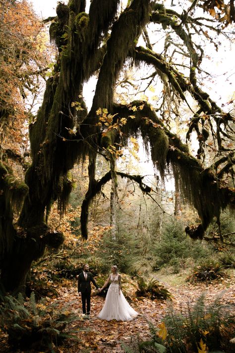 Olympic National Park Wedding, Olympic National Park Elopement, Elope Dress, Woodsy Elopement, Elopement Guide, Olympic Mountains, National Park Elopement, Woodsy Wedding, Port Angeles