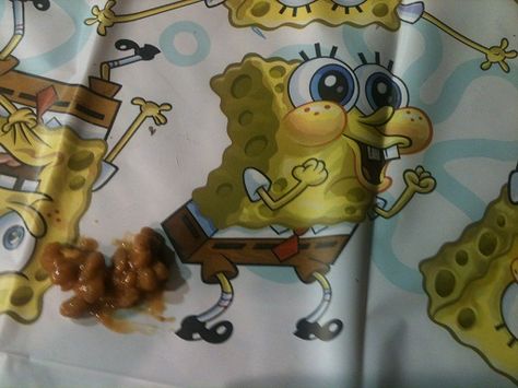 Sponge Bob Poopy Pants. Spongebob Humor, Scary Pranks, Spongebob Pics, Funny School Pictures, Mermaid Photos, Funny Cat Photos, Spongebob Funny, She Wolf, Sponge Bob