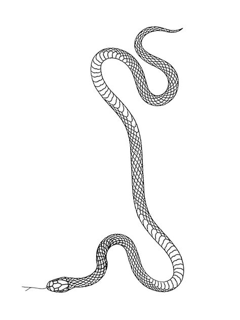 Snake Symbol Tattoo, Long Snake Tattoo, Snake Tattoo Stencil, Snake Arm Tattoo, Tattoo Cobra, Tattoo Bible, Arm Tattoos Drawing, Wrap Around Tattoo, Around Arm Tattoo