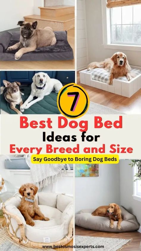 Best Dog Bed Ideas for Every Breed and Size 11